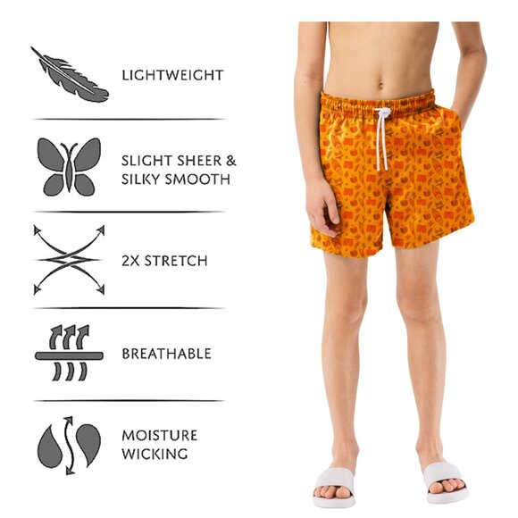 Boy's Beach Swim Trunk Shorts Quick Dry UPF 50+ Little Boys Bathing Swimsuit - Picture 10 of 15